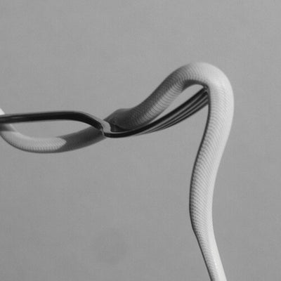 Animals as Leaders - Parrhesia (Indie Exclusive Vinyl)