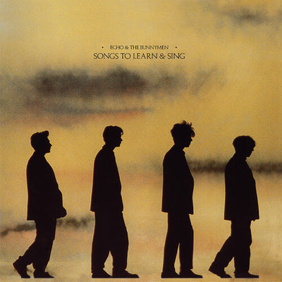 Echo & Bunnymen - Songs To Learn & Sing (2021) (Vinyl LP) - Pale Blue Dot Records