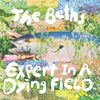 Beths - Expert In A Dying Field (Vinyl LP)