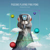 Pigeons Playing Ping Pong - Perspective (Vinyl LP) - Pale Blue Dot Records