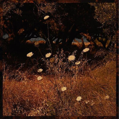 Szun Waves - Earth Patterns (Indie Exclusive Vinyl) - Pale Blue Dot Records