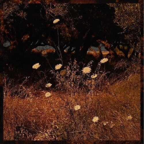Szun Waves - Earth Patterns (Indie Exclusive Vinyl) - Pale Blue Dot Records