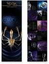 Tool - Fear Inoculum (Vinyl LP)