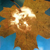 SOYUZ - Force Of The Wind (IEX) Clear (Indie Exclusive Vinyl) - Pale Blue Dot Records