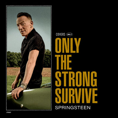 Bruce Springsteen - Only The Strong Survive (Vinyl LP) - Pale Blue Dot Records