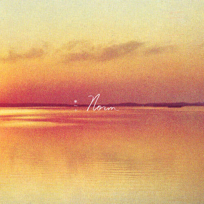 Andy Shauf - Norm (Vinyl LP)