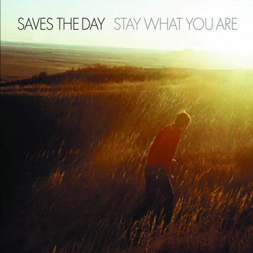 Saves the Day - Stay What You Are - 10-Inch Vinyl (Vinyl LP) - Pale Blue Dot Records