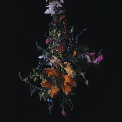 Nature Morte (Indie Exclusive Vinyl) - Pale Blue Dot Records