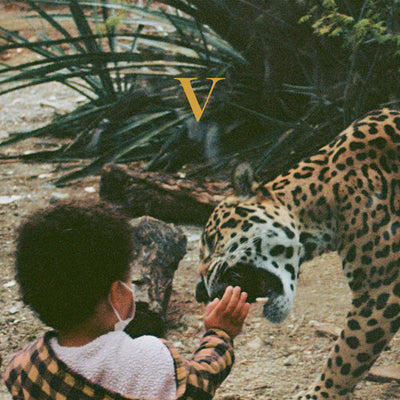 Unknown Mortal Orchestra - V - LEGENDARY EDITION - GOLDEN NUGGET - Pale Blue Dot Records