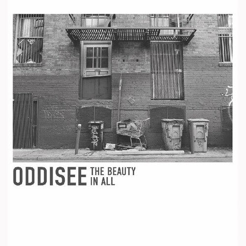 Oddisee - The Beauty In All (Indie Exclusive Vinyl) - Pale Blue Dot Records