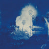 Fruit Bats - A River Running to Your Heart (IEX) (Indie Exclusive Vinyl) - Pale Blue Dot Records