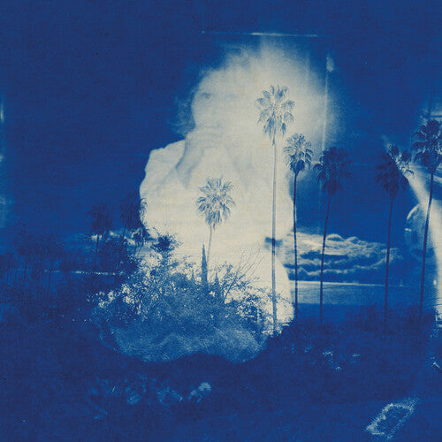Fruit Bats - A River Running to Your Heart (IEX) (Indie Exclusive Vinyl) - Pale Blue Dot Records