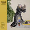 Nation of Language - Strange Disciple (Vinyl LP) - Pale Blue Dot Records