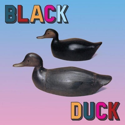 Black Duck - Black Duck (Indie Exclusive Vinyl) - Pale Blue Dot Records