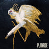 Plainride - Plainride (Vinyl LP) - Pale Blue Dot Records