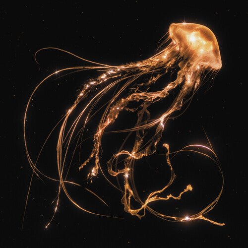 Royal Blood - Back To The Water Below (Vinyl LP) - Pale Blue Dot Records