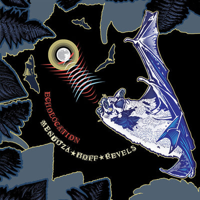 Ava Mendoza & Devin Hoff Revels - Echolocation (Vinyl LP) - Pale Blue Dot Records