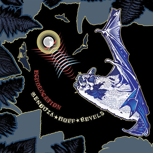 Ava Mendoza & Devin Hoff Revels - Echolocation (Vinyl LP) - Pale Blue Dot Records