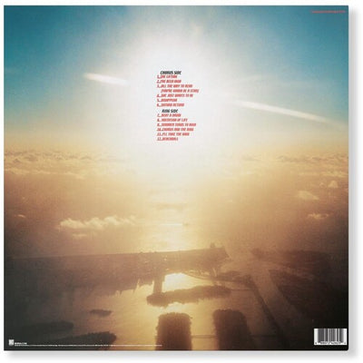 R.E.M. - Reveal (Vinyl LP) - Pale Blue Dot Records