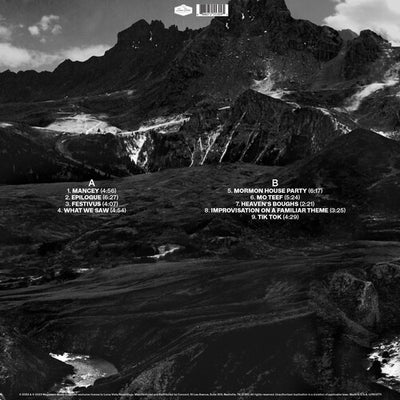 Andrew Bird - Outside Problems (Vinyl LP)