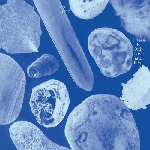 Bex Burch - There Is Only Love And Fear (Vinyl LP) - Pale Blue Dot Records