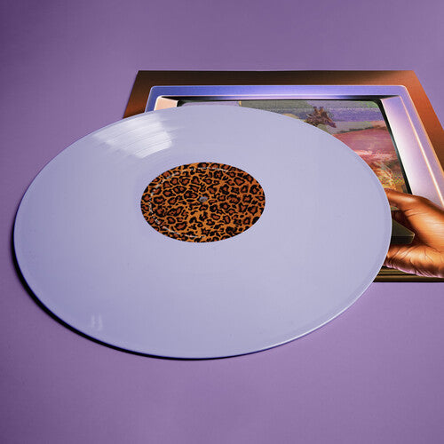 Fly Anakin - Skinemaxxx (Vinyl LP) - Pale Blue Dot Records