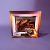 Fly Anakin - Skinemaxxx (Vinyl LP) - Pale Blue Dot Records