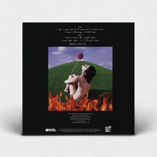 Paula Cole - This Fire (Indie Exclusive Vinyl) - Pale Blue Dot Records