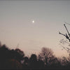 Rachel Sermanni - Dreamer Awake (Vinyl LP) - Pale Blue Dot Records