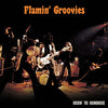 Flamin' Groovies - Rockin' The Roundhouse - Orange (Vinyl LP)