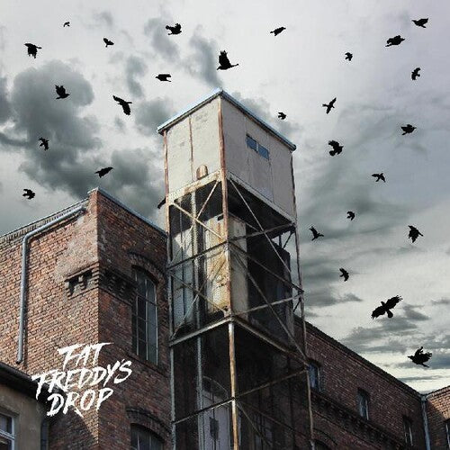 Fat Freddy's Drop - Blackbird Returns (Vinyl LP) - Pale Blue Dot Records