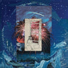 Del Paxton - Auto Locator (Vinyl LP) - Pale Blue Dot Records