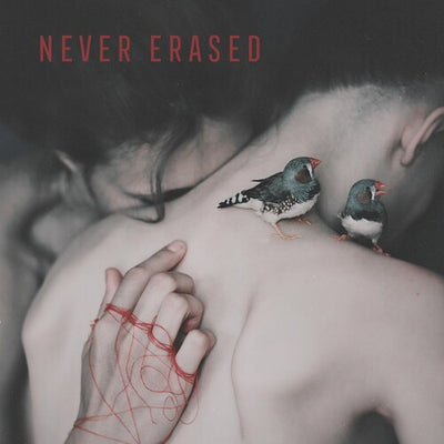 Various Artists - Never Erased (Various Artists) (Vinyl LP) - Pale Blue Dot Records