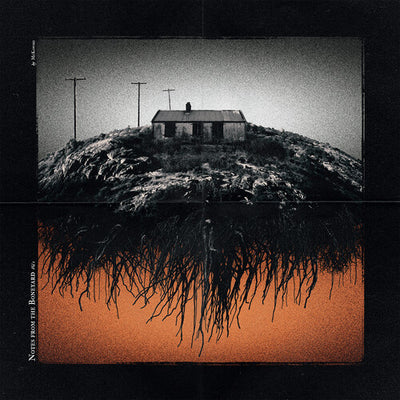 McKowski - Notes From The Boneyard (Vinyl LP) - Pale Blue Dot Records