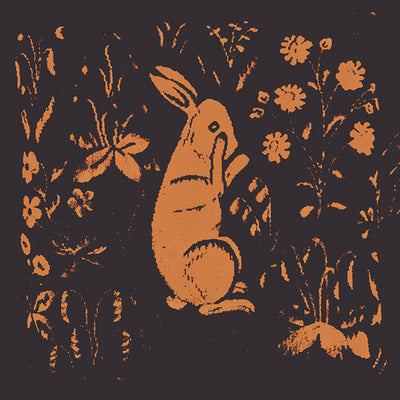 Sadness - Rabbit Album (Vinyl LP) - Pale Blue Dot Records