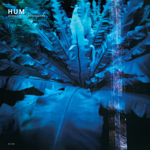 Hum - Downward Is Heavenward (Vinyl LP) - Pale Blue Dot Records