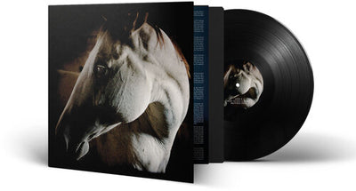 Brother Dege - How To Kill A Horse (Vinyl LP) - Pale Blue Dot Records