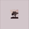 Land of Talk - Performances (ecomix Vinyl) (Vinyl LP) - Pale Blue Dot Records