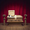 Gregory Pepper & His Problems - No Thanks (Vinyl LP) - Pale Blue Dot Records