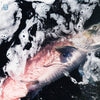 Azure (Vinyl LP) - Pale Blue Dot Records