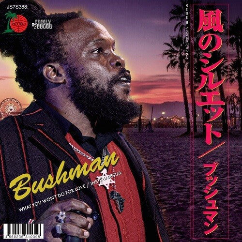 Bushman - What You Won't Do For Love (Vinyl LP) - Pale Blue Dot Records