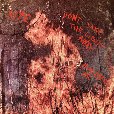 Kite - Don't take the light away / Remember me (Vinyl LP)