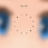 Hidden Beauty (Vinyl LP) - Pale Blue Dot Records