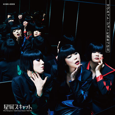 Beware Of Magnet Joe / Theme Of Hoshikuzu Scat (Vinyl LP) - Pale Blue Dot Records