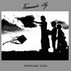 Fernando Oly - Tempo Pra Tudo (Vinyl LP) - Pale Blue Dot Records