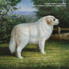 Douglas Andrew McCombs - VMAK<KOMBZ<<<DUGLAS<<6NDR7<<< (Indie Exclusive Vinyl) - Pale Blue Dot Records