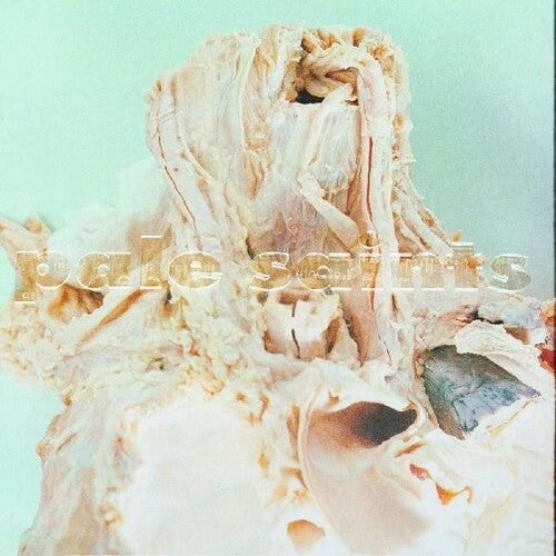 Pale Saints - In Ribbons (Vinyl LP)