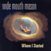 Wide Mouth Mason - Where I Started (Vinyl LP) - Pale Blue Dot Records