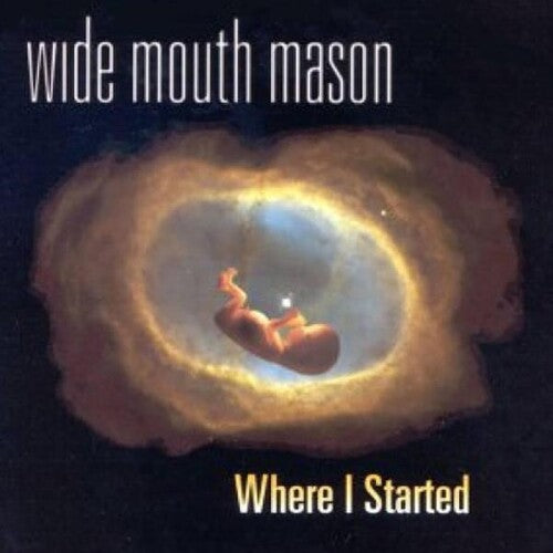 Wide Mouth Mason - Where I Started (Vinyl LP) - Pale Blue Dot Records