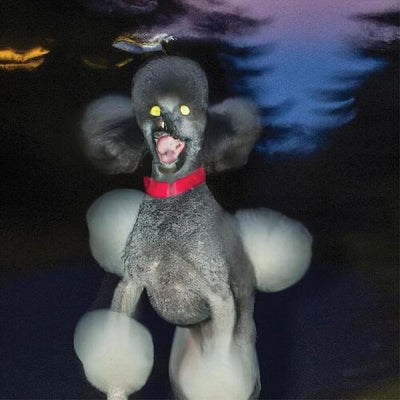 Hit Bargain - A Dog A Deer A Seal (Vinyl LP) - Pale Blue Dot Records